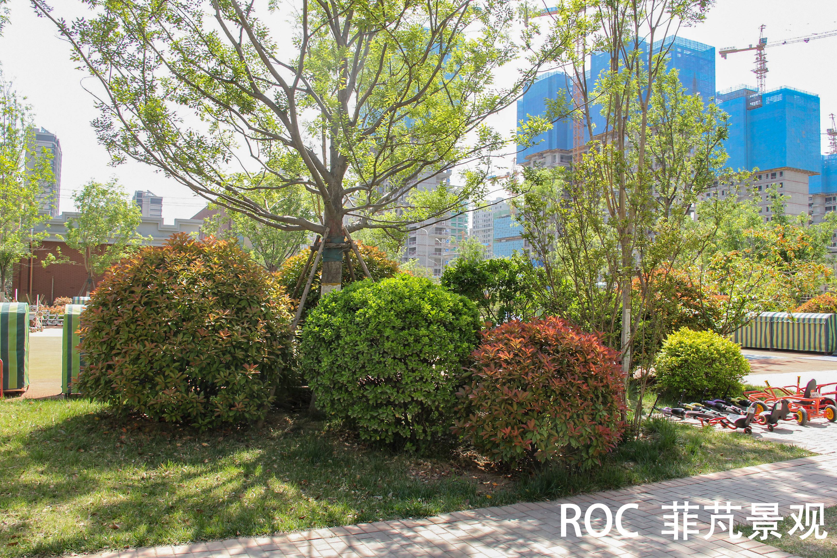 一幼銀豐園鳥瞰圖